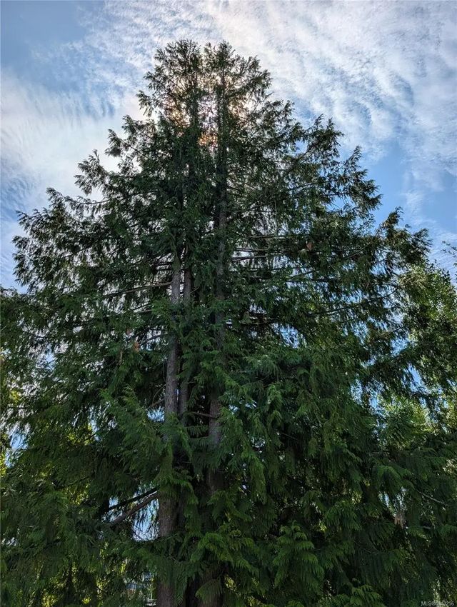 5 of 9 - 96 Cowichan Ave, Lake Cowichan, BC