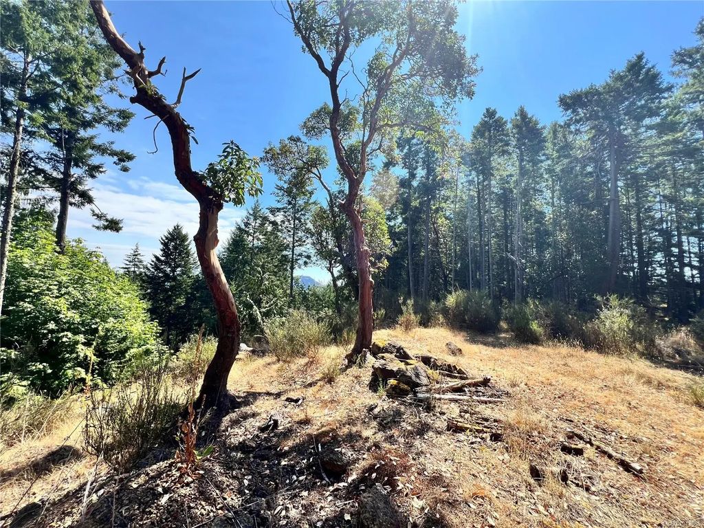 131 Rainforest Rd, Salt Spring