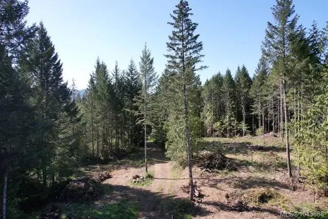 2 of 5 - Lot 4 Appaloosa Way, Duncan, BC