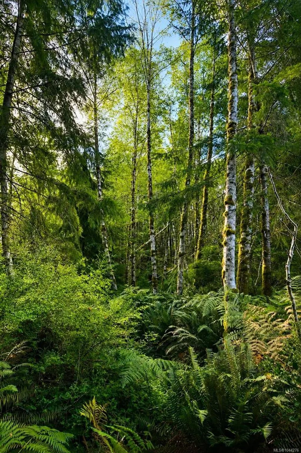 Lot 4 Harbourbrook Rd, Quadra Island