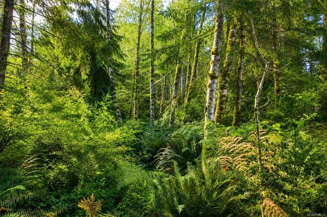 2 of 16 - Lot 4 Harbourbrook Rd, Quadra Island, BC