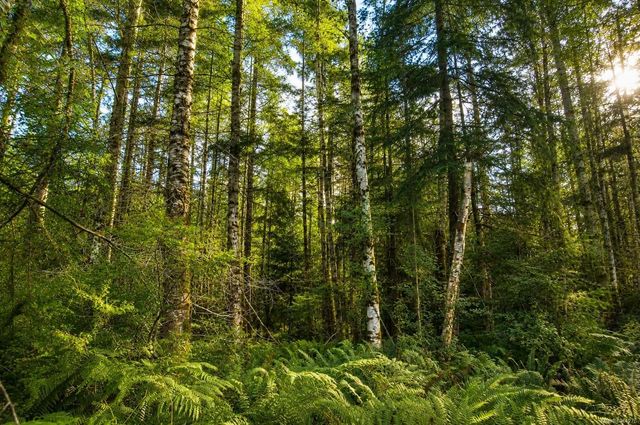 3 of 16 - Lot 4 Harbourbrook Rd, Quadra Island, BC