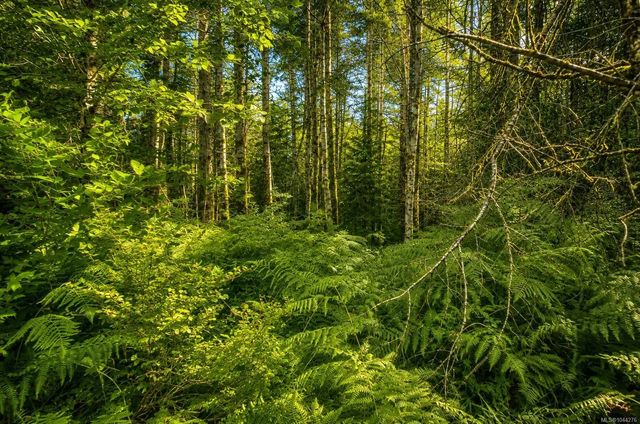 4 of 16 - Lot 4 Harbourbrook Rd, Quadra Island, BC