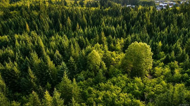 5 of 16 - Lot 4 Harbourbrook Rd, Quadra Island, BC