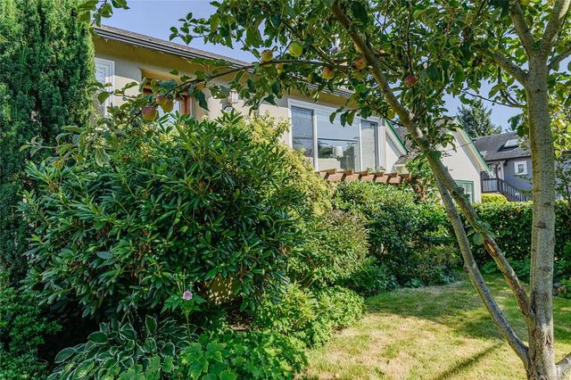 2 of 41 - 129 Moss St, Victoria, BC