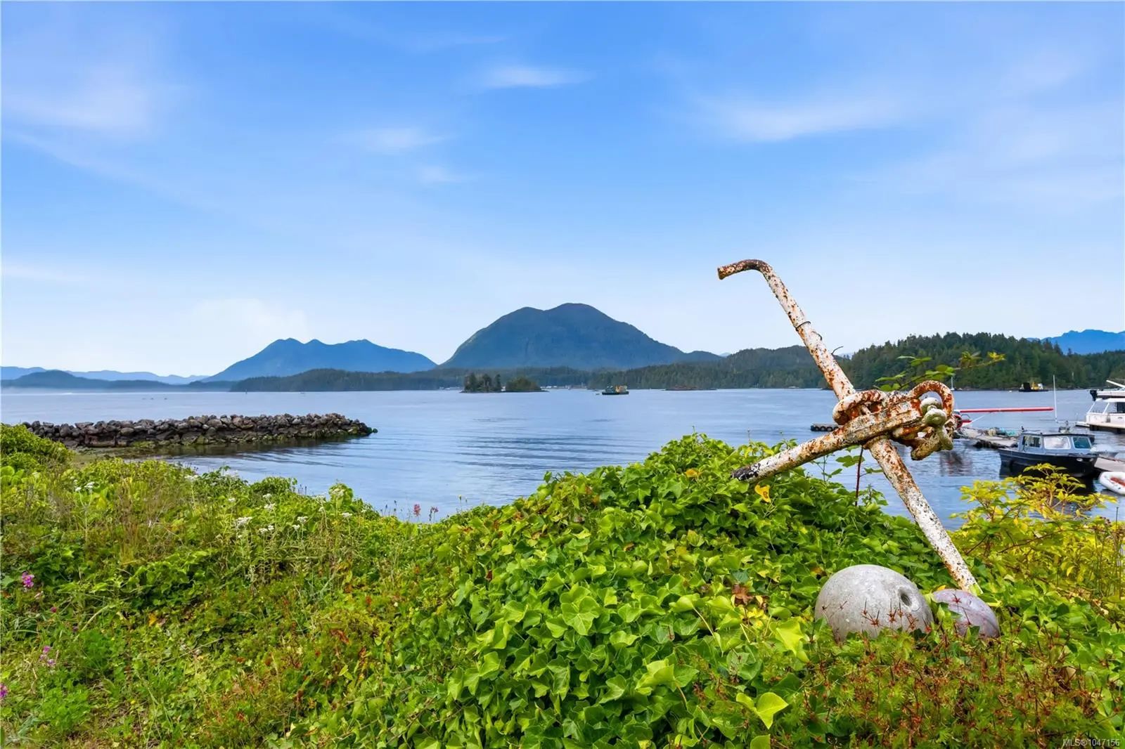 Homes for Sale in Tofino, BC