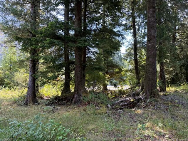 5 of 21 - 609 Keno Cres, Zeballos, BC