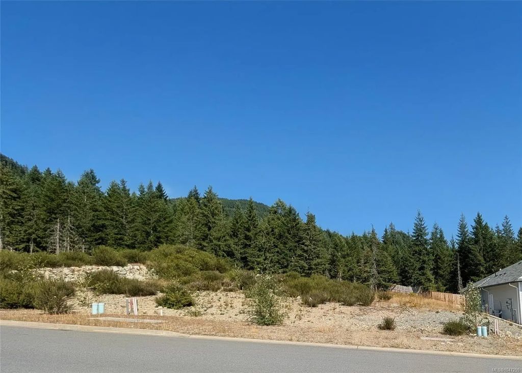553 Mountain View Dr, Lake Cowichan