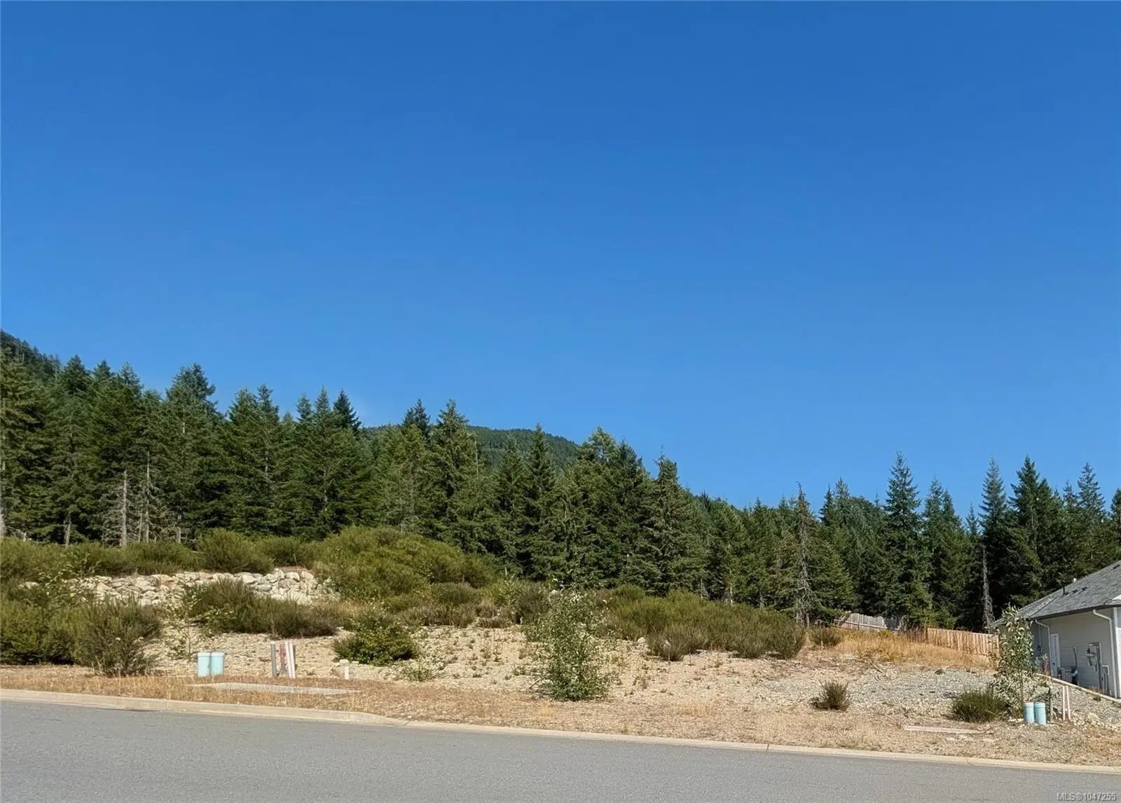 Homes for Sale in Lake Cowichan, BC