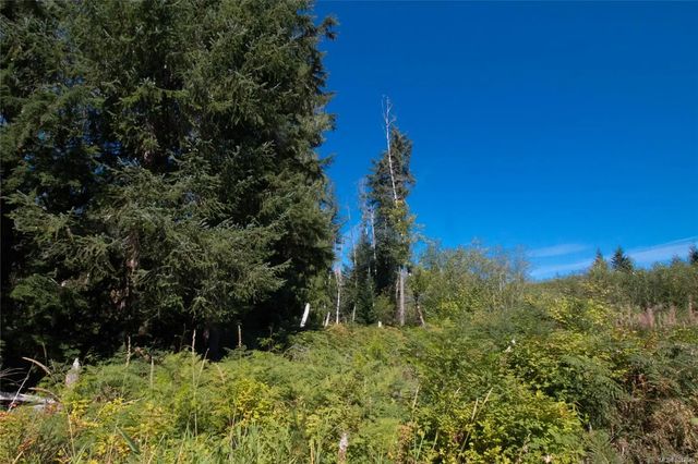 5 of 20 - Lt 8 South Farnham Rd, Merville, BC