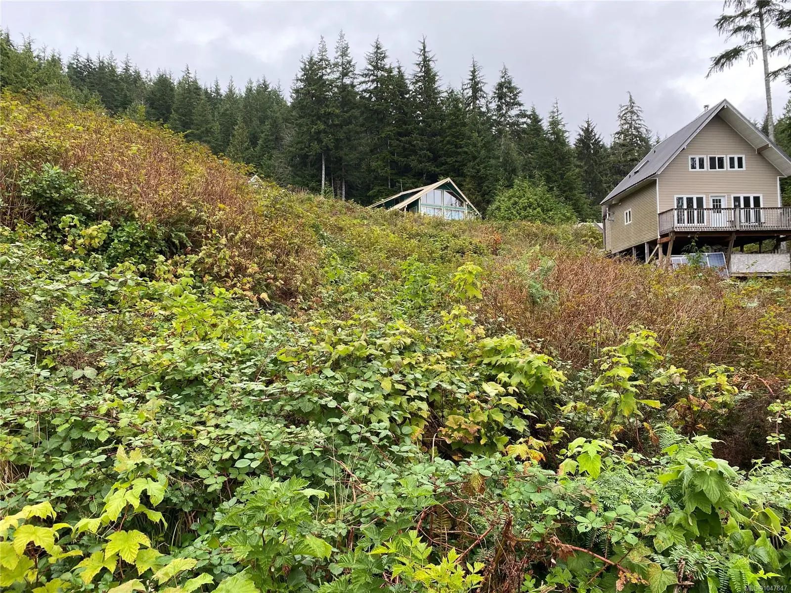 Residential for Sale by Lt 65 Haggard Cove in the Port Alberni, located in the neighborhood of 