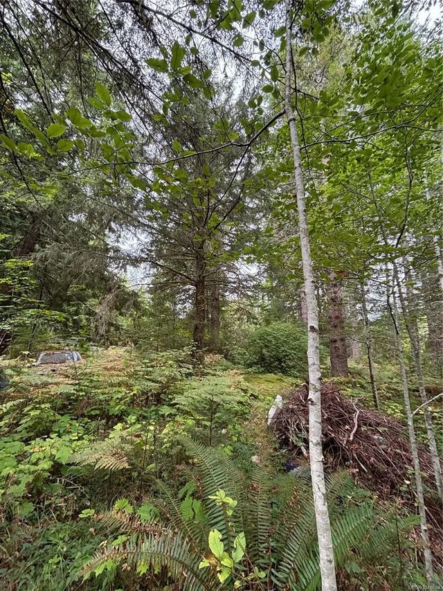 2 of 10 - Lot 23 Pratt Rd, Errington, BC
