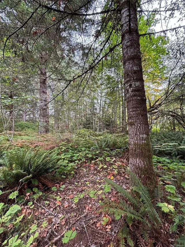 3 of 10 - Lot 23 Pratt Rd, Errington, BC