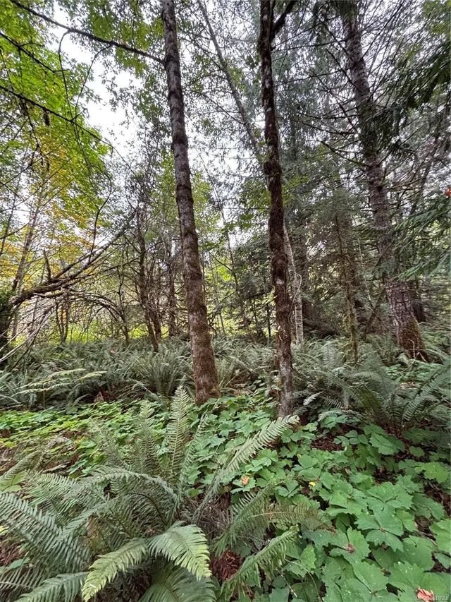 4 of 10 - Lot 23 Pratt Rd, Errington, BC