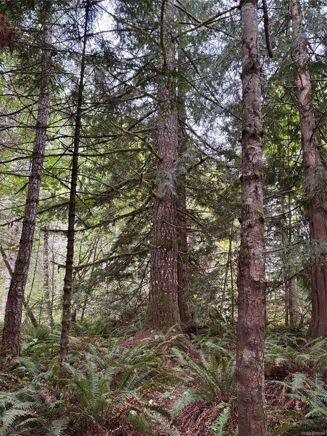 5 of 10 - Lot 23 Pratt Rd, Errington, BC
