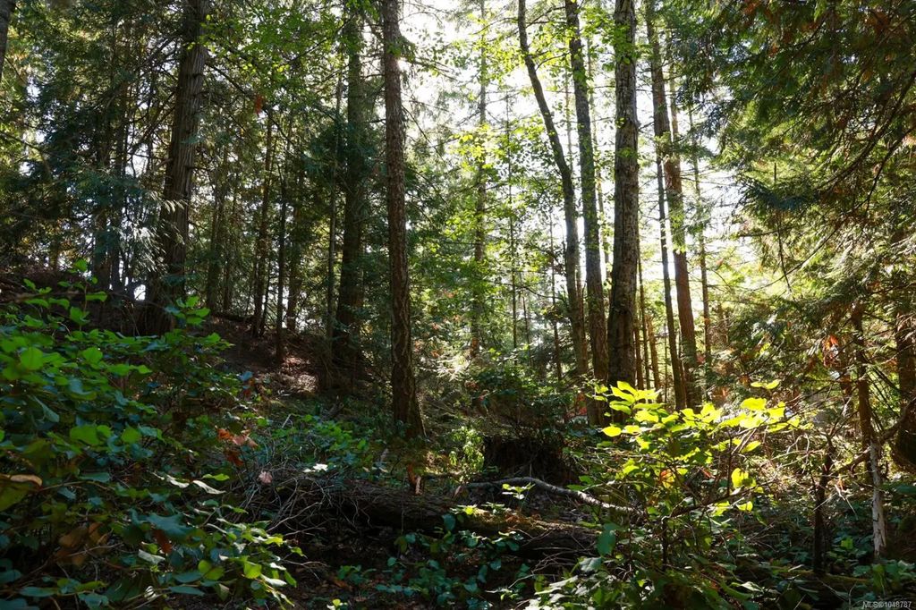 3624 Foc-sle Rd, Pender Island