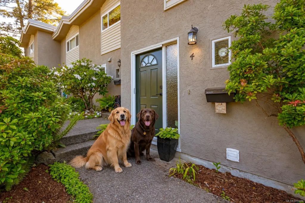 869 Swan St 4, Saanich