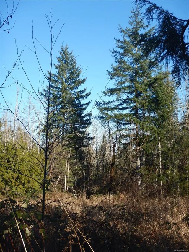 5 of 18 - Lot 2 Artela Dr, Fanny Bay, BC