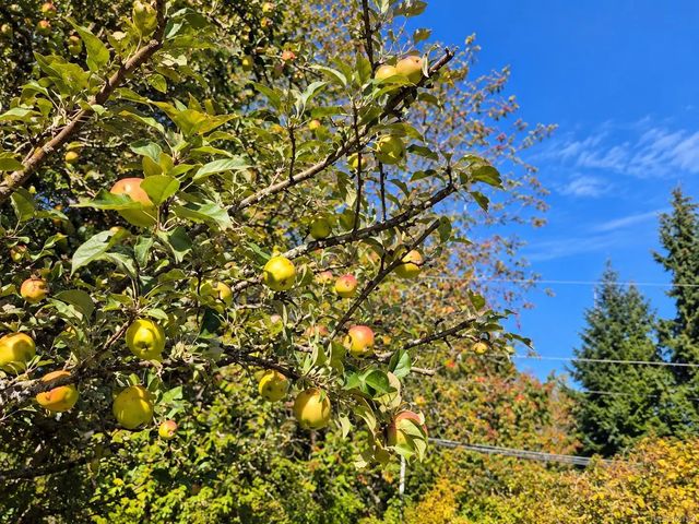 2 of 40 - 6820 Parklands Pl 23, Lantzville, BC