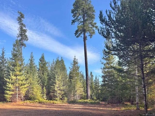 4 of 24 - 6876 Danes Rd Lot B, Denman Island, BC