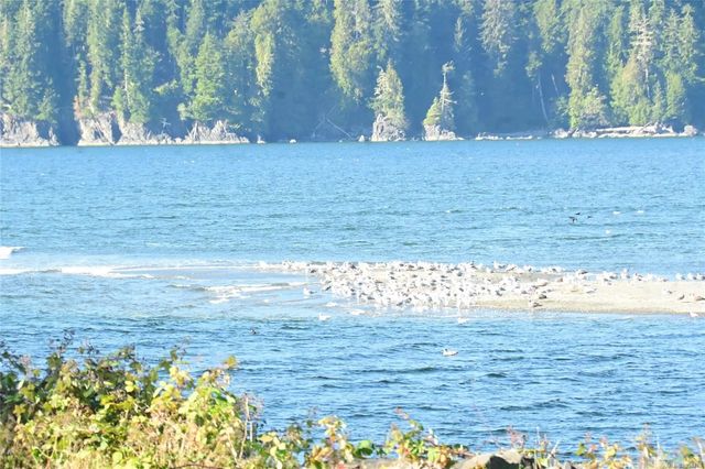 2 of 31 - 16985 Clo-oose Pl, Port Renfrew, BC