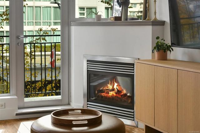 4 of 42 - 737 Humboldt St N305, Victoria, BC