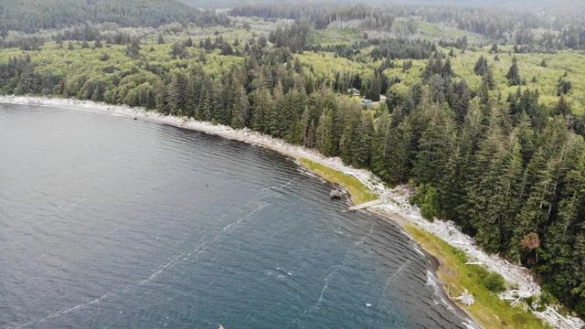 3 of 4 - Lot 2 Carmanah Mainline Rd, Lake Cowichan, BC
