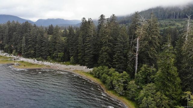 4 of 4 - Lot 2 Carmanah Mainline Rd, Lake Cowichan, BC