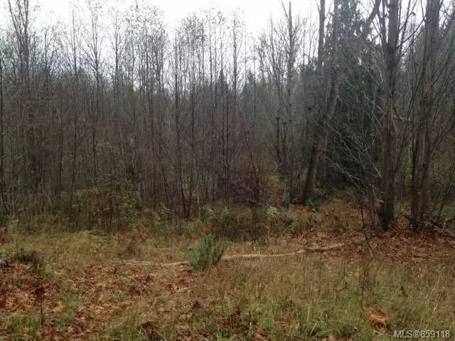 4 of 5 - 7970 Island Hwy S, Fanny Bay, BC