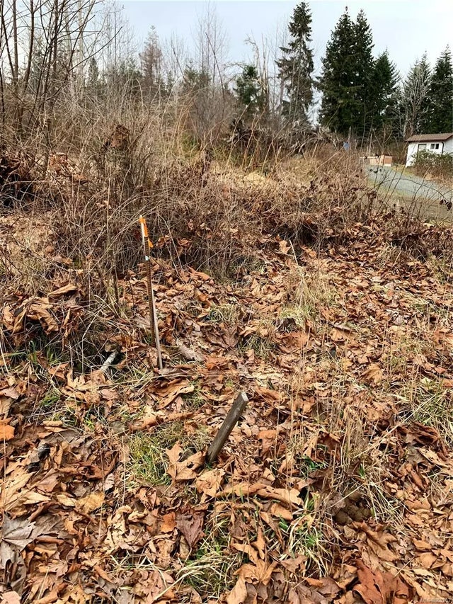 3 of 5 - 1 Country Rd, Fanny Bay, BC