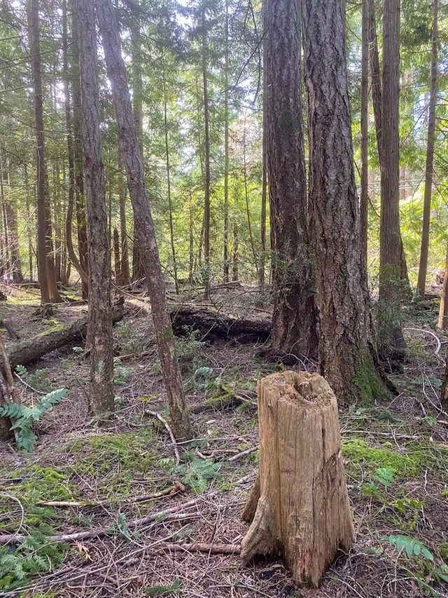 2 of 14 - Lt 2 Taylor Bay Rd, Gabriola Island, BC