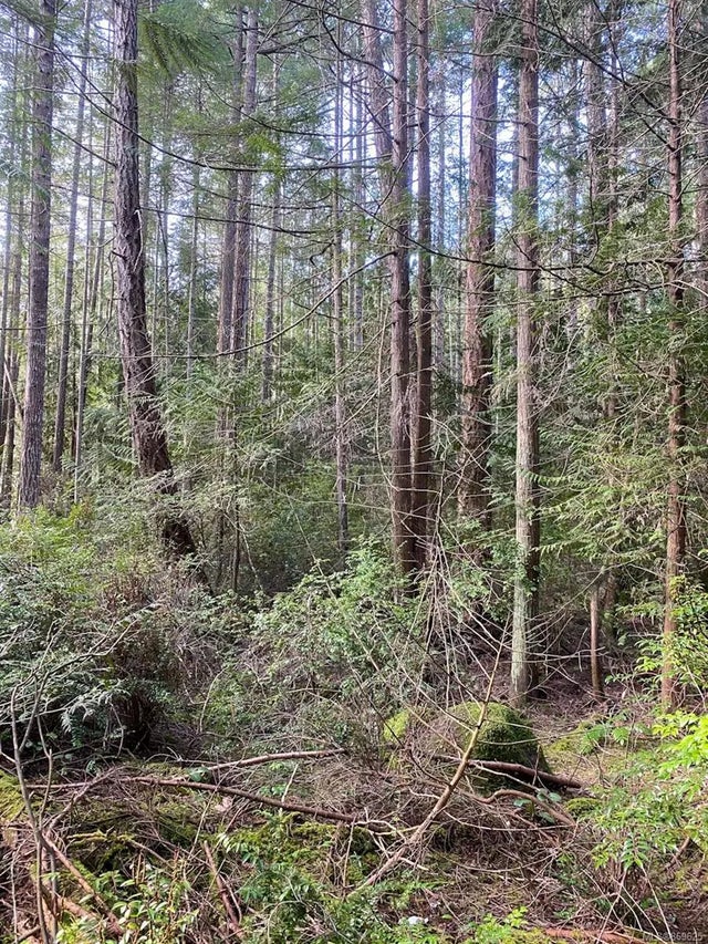 3 of 14 - Lt 2 Taylor Bay Rd, Gabriola Island, BC