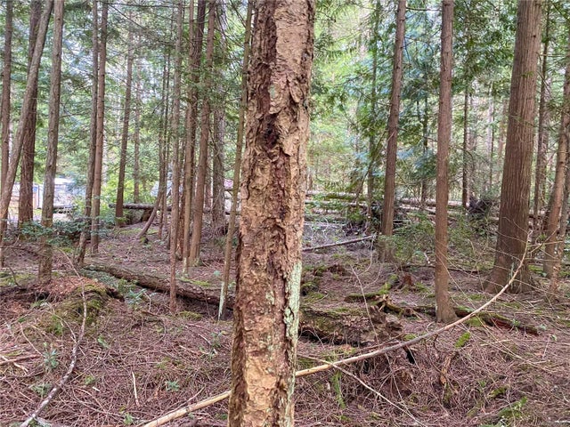 5 of 14 - Lt 2 Taylor Bay Rd, Gabriola Island, BC