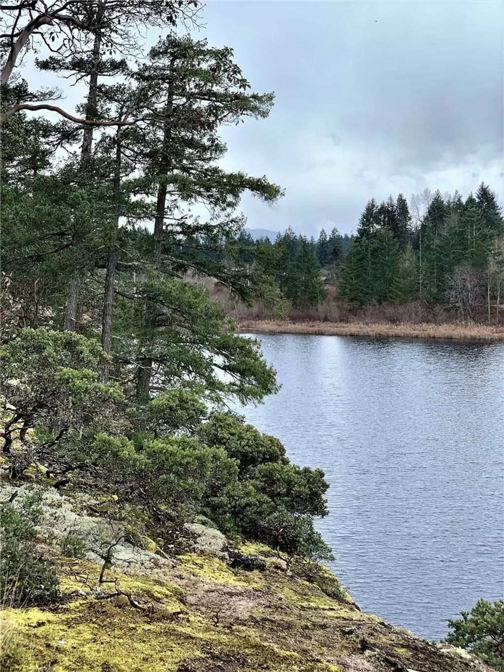 2375 White Rapids Rd, Nanaimo