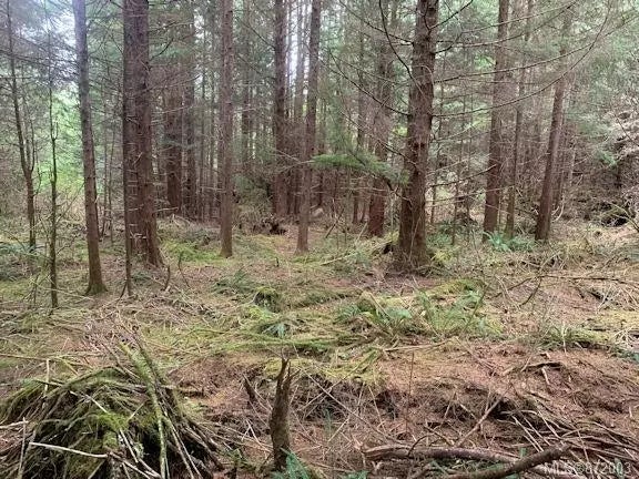 4 of 20 - Lot 3 Nootka Island, Nootka Island, BC