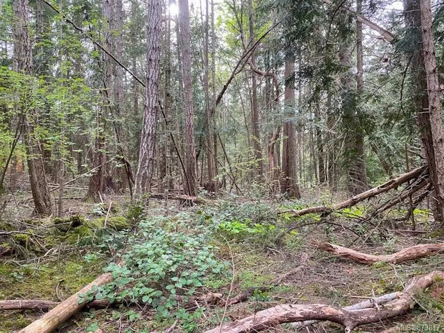 3 of 13 - Lt 26 Pat Burns Ave, Gabriola Island, BC