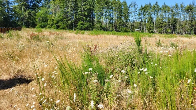 2 of 21 - Lot 24 Vee Rd, Cowichan Bay, BC