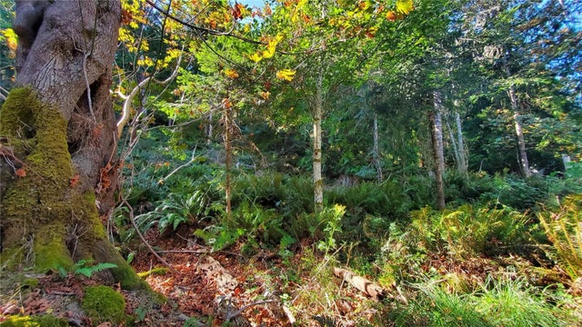 3 of 8 - Lt 145 Moby Dick's Way, Gabriola Island, BC