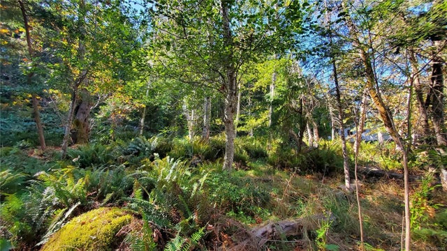 5 of 8 - Lt 145 Moby Dick's Way, Gabriola Island, BC