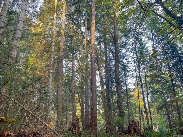 3 of 16 - Lt 37 Spruce Ave, Gabriola Island, BC