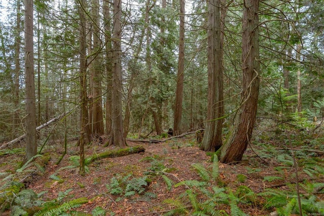 3 of 20 - Pcl C Cherry Point Rd, Cowichan Bay, BC