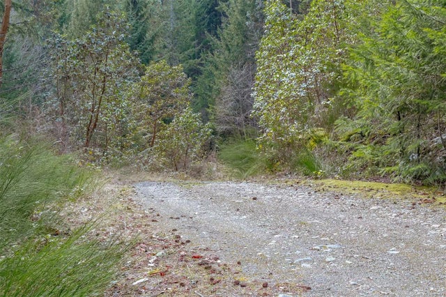 4 of 4 - Lot 1 Trans Canada Hwy, Chemainus, BC