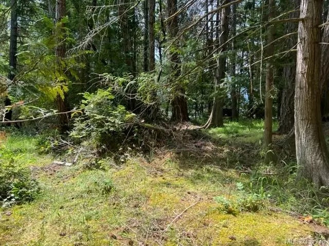 1 of 7 - Lot 42 Pat Burns Ave, Gabriola Island, BC