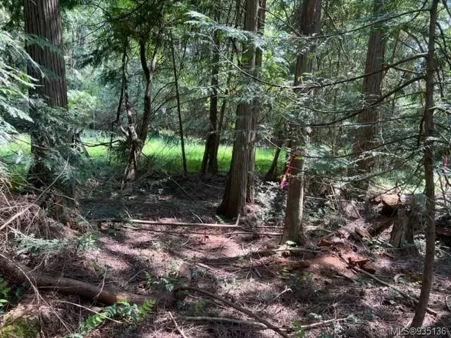 3 of 7 - Lot 42 Pat Burns Ave, Gabriola Island, BC