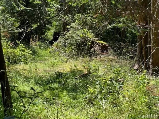 5 of 7 - Lot 42 Pat Burns Ave, Gabriola Island, BC