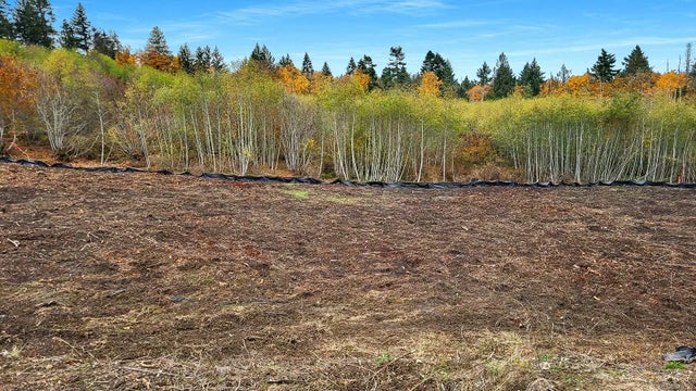 4 of 17 - Lt 1 & Pcl B Vee Rd, Cowichan Bay, BC