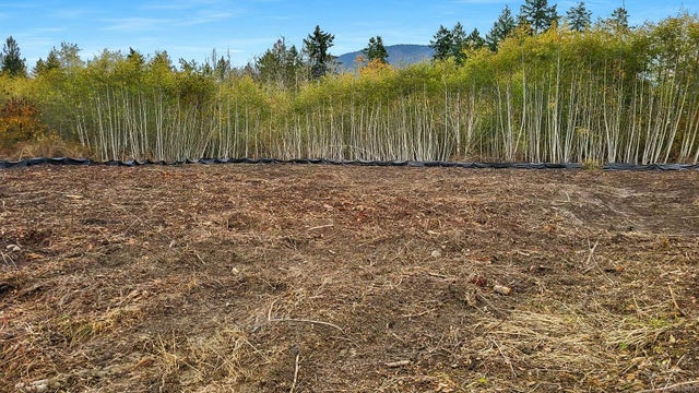 5 of 17 - Lt 1 & Pcl B Vee Rd, Cowichan Bay, BC