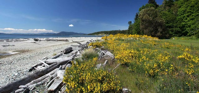 5 of 17 - 933 Sallas Lane, Sidney Island, BC