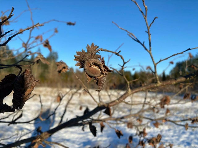 3 of 34 - 1430 Peterson Rd, Gabriola Island, BC