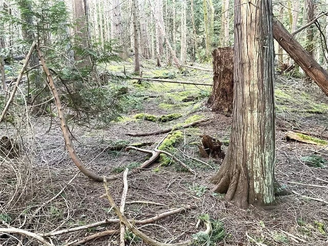 3 of 13 - Lot 72 Coho Blvd, Mudge Island, BC